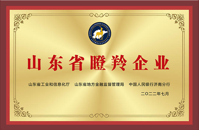 Shandong gazelle enterprise