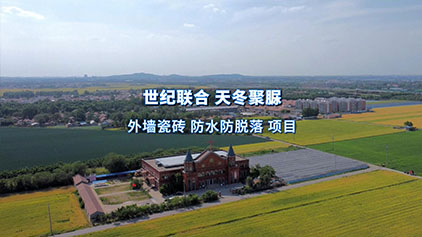 Clear polyaspartic polyurea exterior wall tiles waterproof project